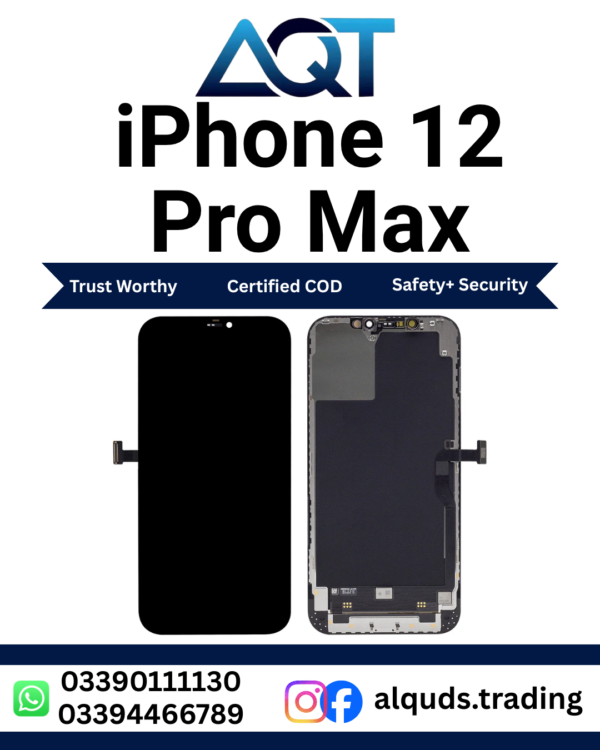 iPhone 12 Pro Max Display Panel