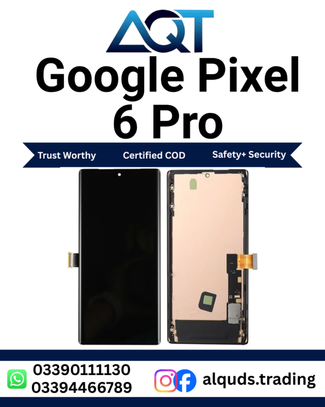 Google Pixel 6 Pro Display Panel