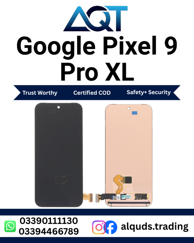 Google Pixel 9 Pro XL Display Panel