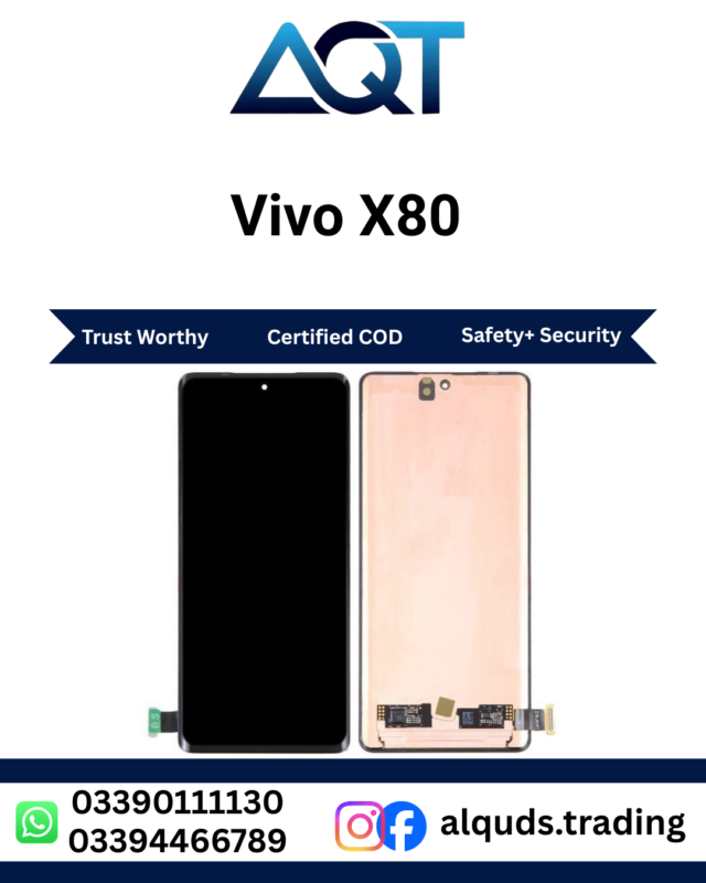 Vivo X80 Original Panel