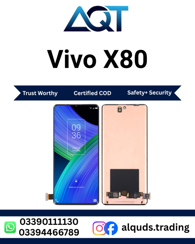 Vivo X80 Original Panel